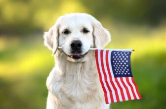 15 Dog Breeds That Helped Raise the Greatest Generation