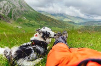 15 Top ‘Outdoor-Loving’ Dog Breeds That Are Born Trail Companions