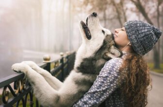 9 Dog Breeds That Are Surprisingly Gentle Giants