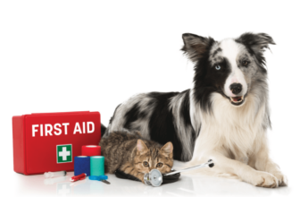 How to create a holistic first aid kit for dogs and cats  – Petpropartners