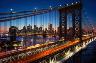 Pet-Friendly Flights, Hotels, Activities and More