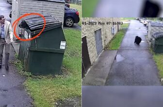 Teacher Finds Shocking Surprise Inside School Dumpster