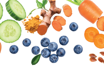 Using food as medicine for dogs 