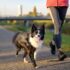 13 Dog Breeds That Fit A Slower, More Relaxed Lifestyle