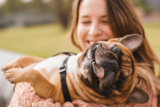 13 Dog Breeds That Are Surprisingly Great For People Who Don’t Like Dogs – Petpropartners