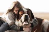 13 Gentle Giant Dog Breeds That Are Basically Living Teddy Bears – Petpropartners