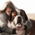 Meet the Company Behind a Natural 30-Day Hot Spot Treatment 1,300 Years in the Making! – Petpropartners