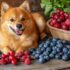 13 Dog Breeds That Would Have Made Great Characters in a Black-and-White Movie