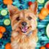 6 Anti-Inflammatory Spices Safe for Dogs with Chronic Pain