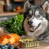15 Signs Your Cat Are Masters of the Sneak Attack
