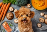 7 Functional Foods That Promote a Healthy Coat and Reduced Shedding – Petpropartners