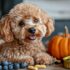 7 Natural Ingredients That Calm Red, Itchy Ears