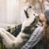 The 10 Best Behaved Dog Breeds