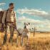 13 Dog Breeds That Would Have Made Great Characters in a Black-and-White Movie