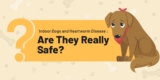 Are They Really Safe? – Petpropartners