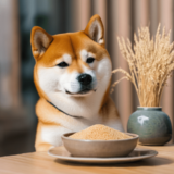 Create a Holistic Diet Plan with Ancient Grains for Dogs – Petpropartners