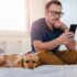 Top 9 Dog Breeds That Were Once Considered Divine Messengers – Petpropartners