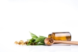 How to choose supplements for dogs and cats – do’s and don’ts