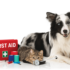 Top 11 Small But Mighty Dog Breeds That Have The Hearts Of Warriors – Petpropartners
