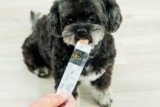 Meet the Company Behind a Natural 30-Day Hot Spot Treatment 1,300 Years in the Making! – Petpropartners