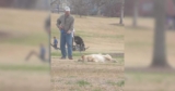Park Play Ends with a Battle of Wills—and the Dog Totally Wins