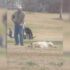 Goat Snuggles Make This Farmer’s Sunday Extra Special