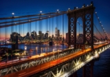 Pet-Friendly Flights, Hotels, Activities and More