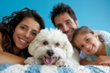 Top 13 Dog Breeds That Have Been the Real MVPs of Family Life