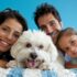 13 Dog Breeds That Made A House A Home Long Before Pinterest Did