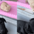 13 Dog Breeds That Are Surprisingly Great For People Who Don’t Like Dogs – Petpropartners