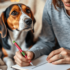 13 Signs Your Cat Knows Exactly What You Need – Petpropartners