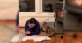 Young Girl Visits Shelter for a Kitten, Leaves With a Gentle Old Soul